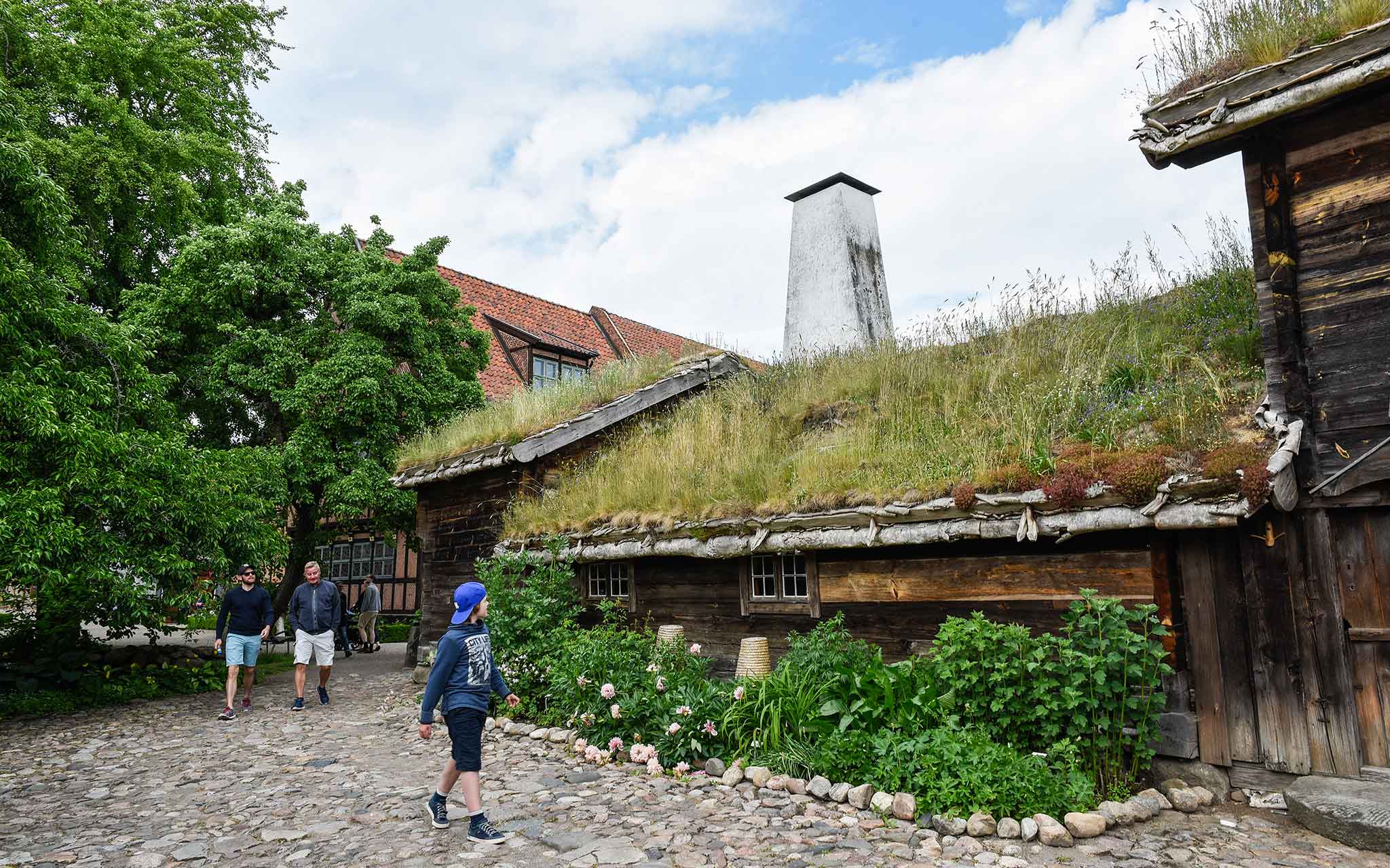 Kulturen Kulturen